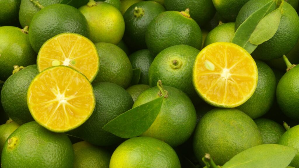 Calamansi citrus fruits as part of the 2025 restaurant trends